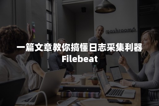 一篇文章教你搞懂日志采集利器Filebeat